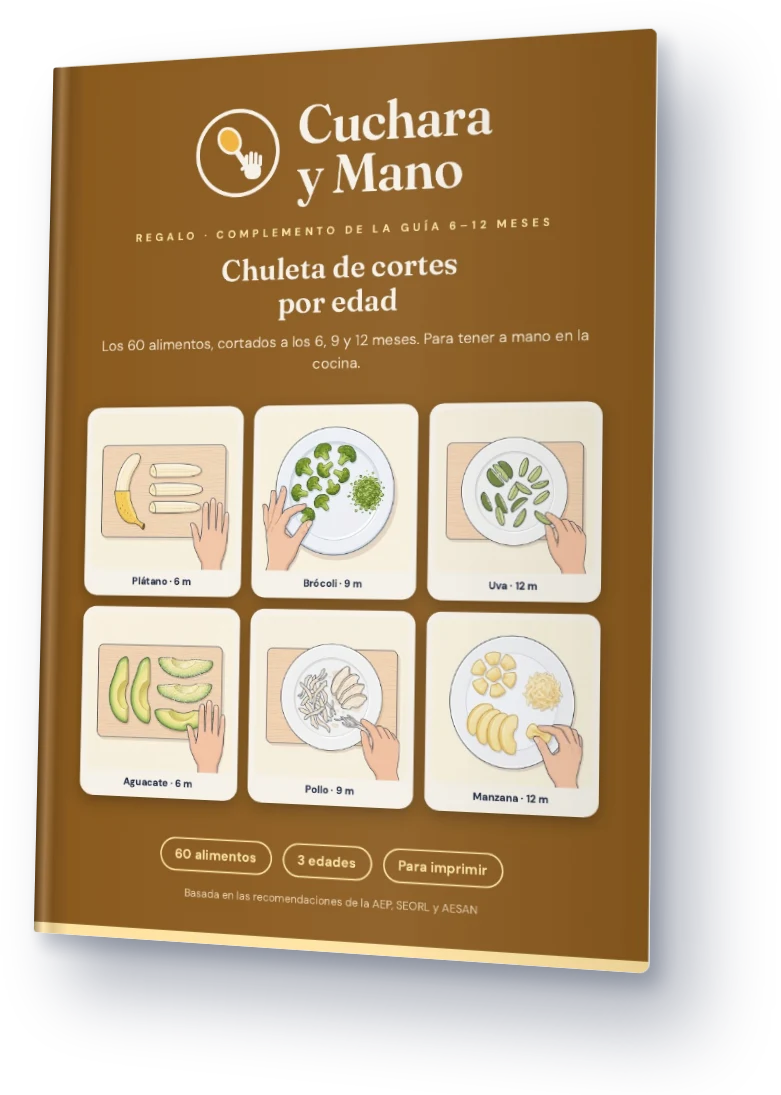 Portada de la chuleta de cortes por edad